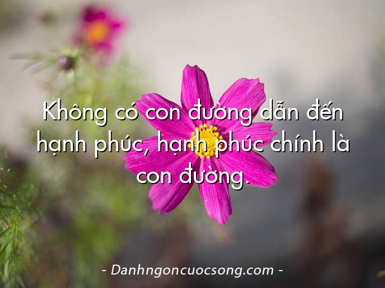 Không có con đường dẫn đến hạnh phúc, hạnh phúc chính là con đường.