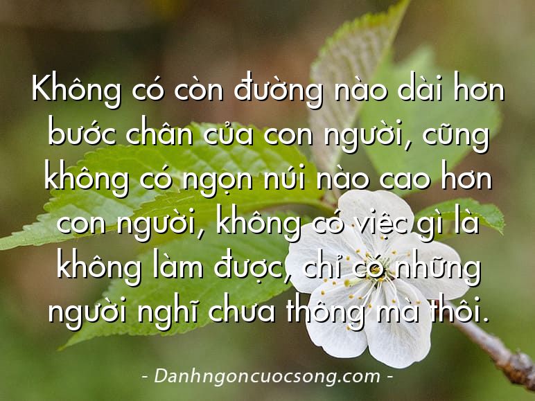 Không có còn đường nào dài hơn bước chân của con người, cũng không có ngọn núi nào cao hơn con người, không có việc gì là không làm được, chỉ có những người nghĩ chưa thông mà thôi.