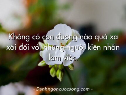 Không có con đường nào quá xa xôi đối với những người kiên nhẫn làm việc.