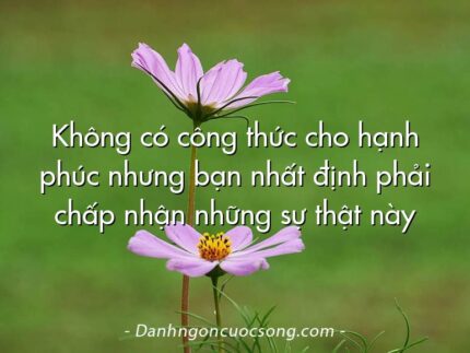 Không có công thức cho hạnh phúc nhưng bạn nhất định phải chấp nhận những sự thật này