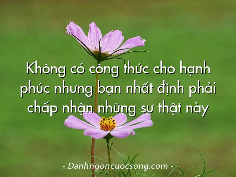 Không có công thức cho hạnh phúc nhưng bạn nhất định phải chấp nhận những sự thật này