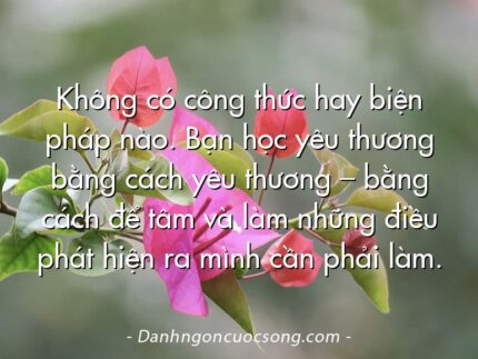 Không có công thức hay biện pháp nào. Bạn học yêu thương bằng cách yêu thương – bằng cách để tâm và làm những điều phát hiện ra mình cần phải làm.