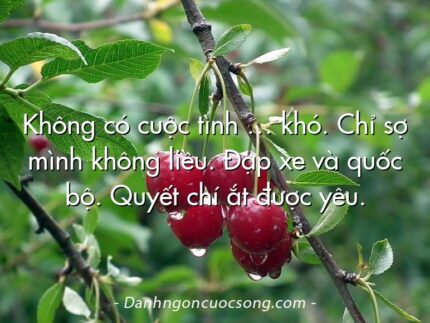 Không có cuộc tình … khó. Chỉ sợ mình không liều. Đạp xe và quốc bộ. Quyết chí ắt được yêu.
