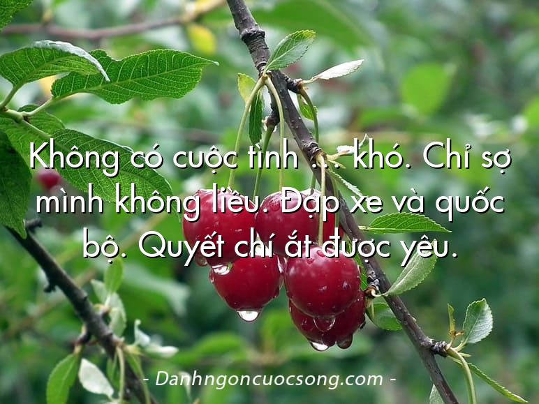 Không có cuộc tình … khó. Chỉ sợ mình không liều. Đạp xe và quốc bộ. Quyết chí ắt được yêu.