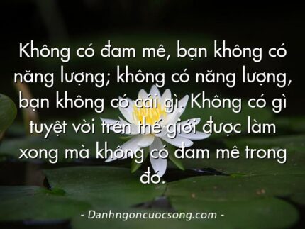 Không có đam mê, bạn không có năng lượng; không có năng lượng, bạn không có cái gì. Không có gì tuyệt vời trên thế giới được làm xong mà không có đam mê trong đó.