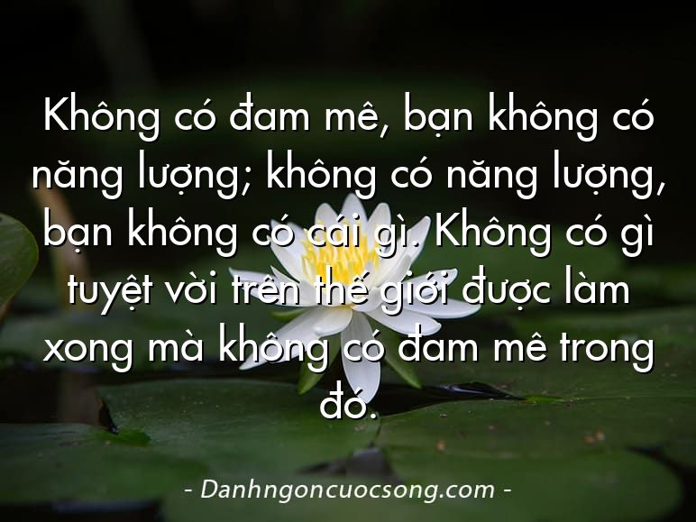 Không có đam mê, bạn không có năng lượng; không có năng lượng, bạn không có cái gì. Không có gì tuyệt vời trên thế giới được làm xong mà không có đam mê trong đó.