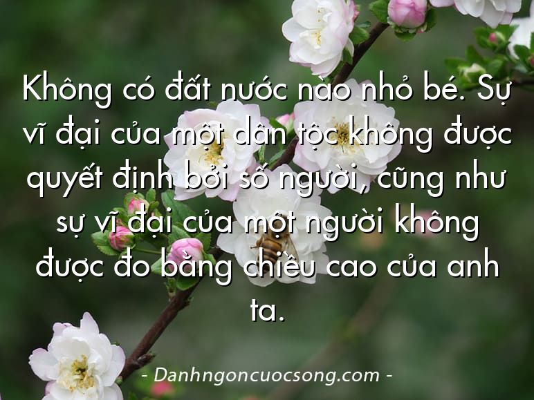 Không có đất nước nào nhỏ bé. Sự vĩ đại của một dân tộc không được quyết định bởi số người, cũng như sự vĩ đại của một người không được đo bằng chiều cao của anh ta.