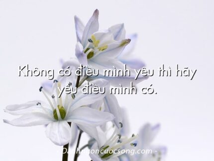 Không có điều mình yêu thì hãy yêu điều mình có.