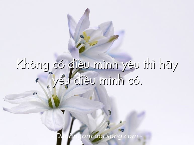 Không có điều mình yêu thì hãy yêu điều mình có.
