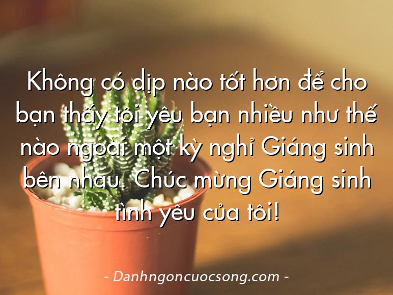 Không có dịp nào tốt hơn để cho bạn thấy tôi yêu bạn nhiều như thế nào ngoài một kỳ nghỉ Giáng sinh bên nhau. Chúc mừng Giáng sinh tình yêu của tôi!