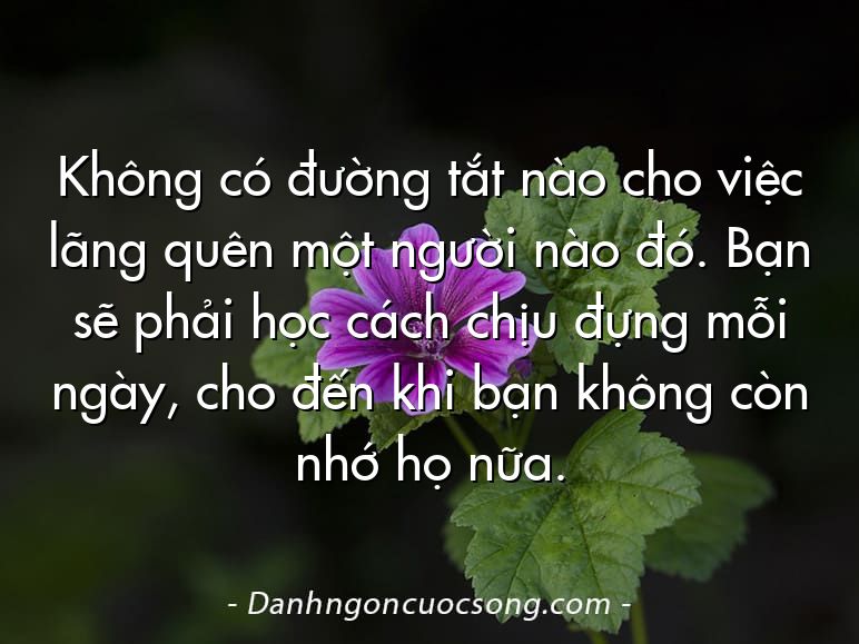 Không có đường tắt nào cho việc lãng quên một người nào đó. Bạn sẽ phải học cách chịu đựng mỗi ngày, cho đến khi bạn không còn nhớ họ nữa.