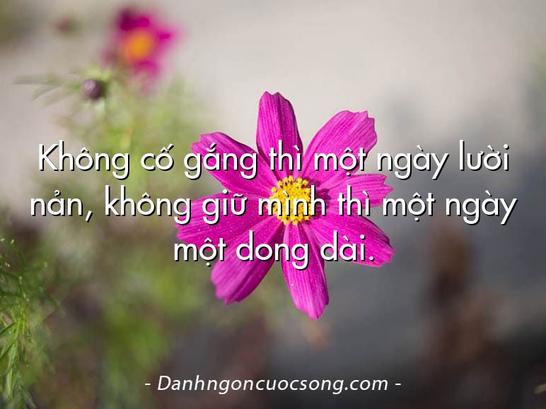 Không cố gắng thì một ngày lười nản, không giữ mình thì một ngày một dong dài.