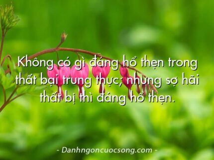 Không có gì đáng hổ thẹn trong thất bại trung thực; nhưng sợ hãi thất bị thì đáng hổ thẹn.