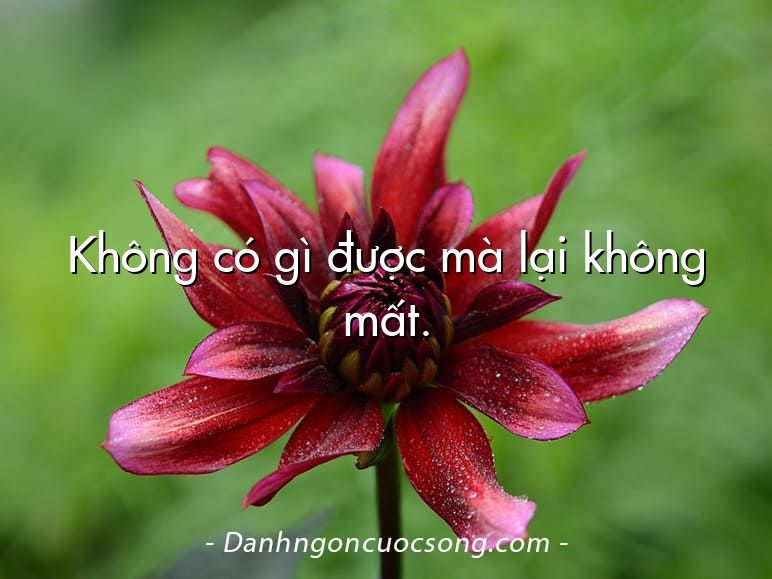 Không có gì được mà lại không mất.