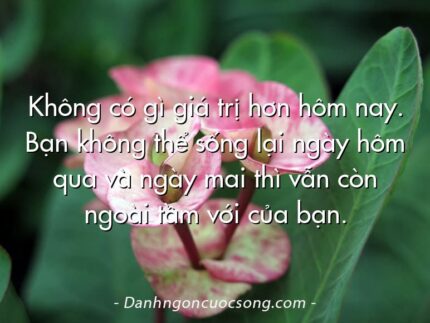 Không có gì giá trị hơn hôm nay. Bạn không thể sống lại ngày hôm qua và ngày mai thì vẫn còn ngoài tầm với của bạn.