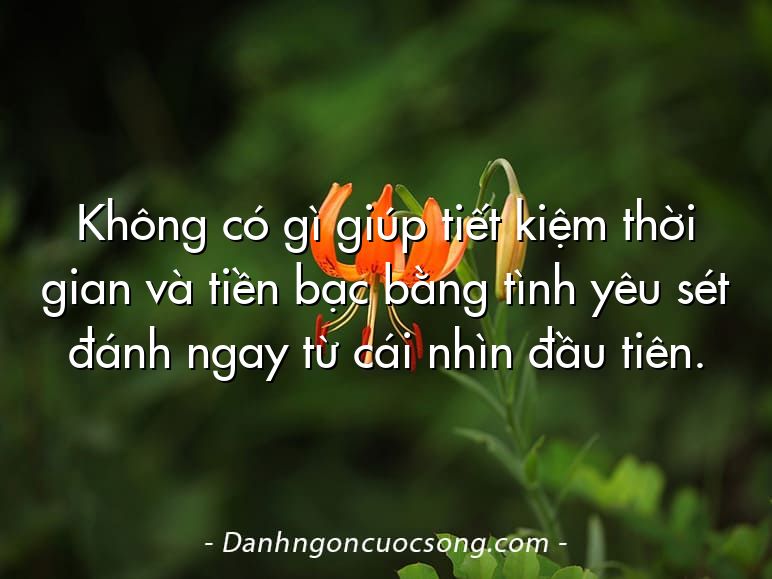 Không có gì giúp tiết kiệm thời gian và tiền bạc bằng tình yêu sét đánh ngay từ cái nhìn đầu tiên.