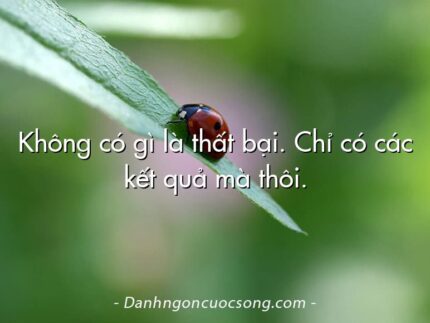Không có gì là thất bại. Chỉ có các kết quả mà thôi.