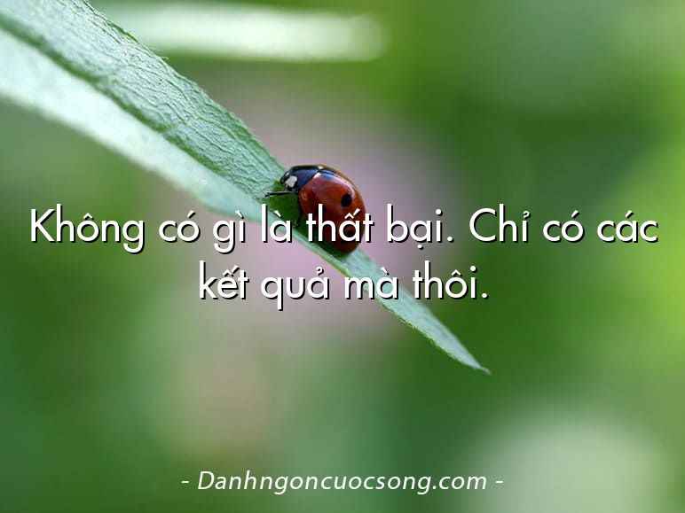 Không có gì là thất bại. Chỉ có các kết quả mà thôi.