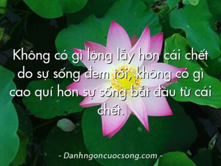Không có gì lộng lẫy hơn cái chết do sự sống đem tới, không có gì cao quí hơn sự sống bắt đầu từ cái chết.