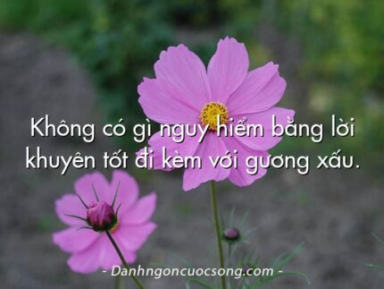 Không có gì nguy hiểm bằng lời khuyên tốt đi kèm với gương xấu.
