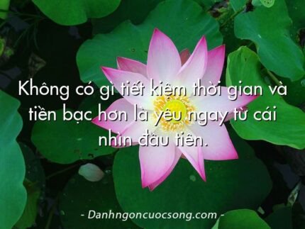 Không có gì tiết kiệm thời gian và tiền bạc hơn là yêu ngay từ cái nhìn đầu tiên.