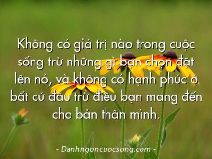 Không có giá trị nào trong cuộc sống trừ những gì bạn chọn đặt lên nó, và không có hạnh phúc ở bất cứ đâu trừ điều bạn mang đến cho bản thân mình.