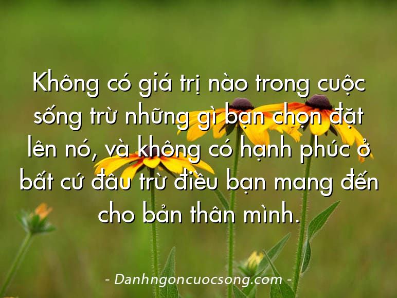 Không có giá trị nào trong cuộc sống trừ những gì bạn chọn đặt lên nó, và không có hạnh phúc ở bất cứ đâu trừ điều bạn mang đến cho bản thân mình.