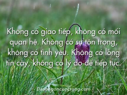 Không có giao tiếp, không có mối quan hệ. Không có sự tôn trọng, không có tình yêu. Không có lòng tin cậy, không có lý do để tiếp tục.