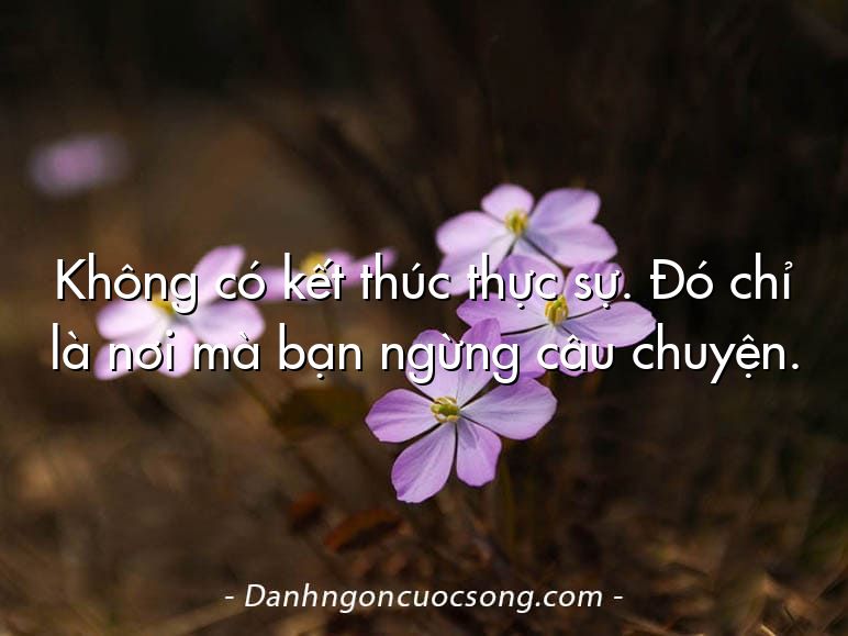 Không có kết thúc thực sự. Đó chỉ là nơi mà bạn ngừng câu chuyện.