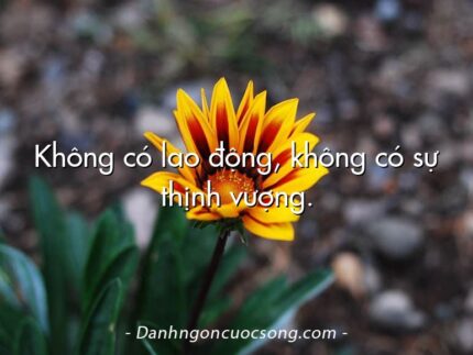 Không có lao động, không có sự thịnh vượng.