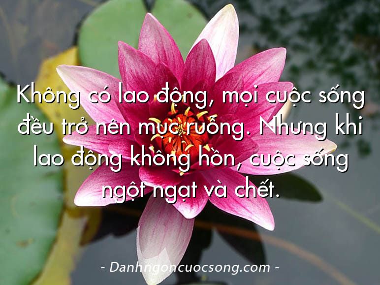 Không có lao động, mọi cuộc sống đều trở nên mục ruỗng. Nhưng khi lao động không hồn, cuộc sống ngột ngạt và chết.