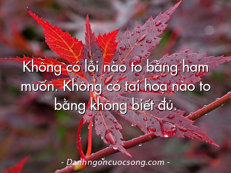 Không có lỗi nào to bằng ham muốn. Không có tai hoạ nào to bằng không biết đủ.