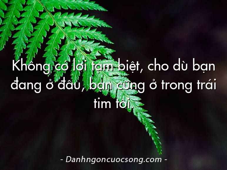 Không có lời tạm biệt, cho dù bạn đang ở đâu, bạn cũng ở trong trái tim tôi.
