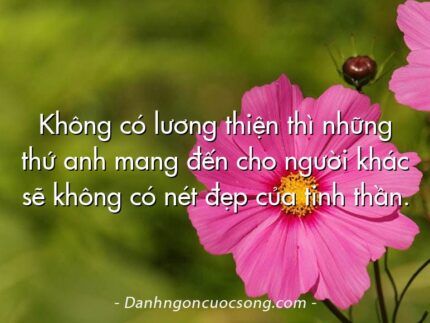 Không có lương thiện thì những thứ anh mang đến cho người khác sẽ không có nét đẹp của tinh thần.
