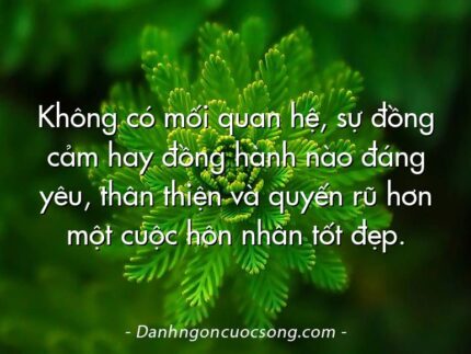 Không có mối quan hệ, sự đồng cảm hay đồng hành nào đáng yêu, thân thiện và quyến rũ hơn một cuộc hôn nhân tốt đẹp.