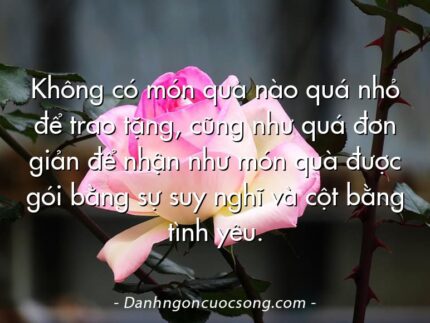 Không có món quà nào quá nhỏ để trao tặng, cũng như quá đơn giản để nhận như món quà được gói bằng sự suy nghĩ và cột bằng tình yêu.