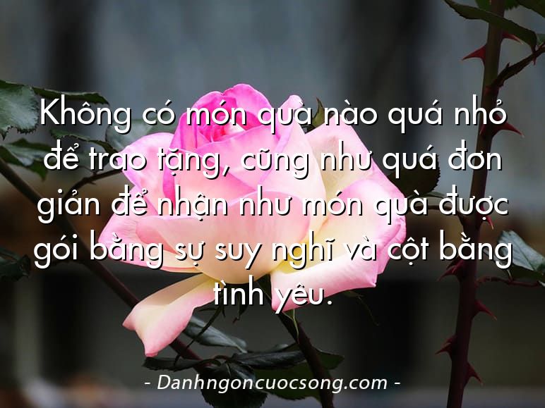 Không có món quà nào quá nhỏ để trao tặng, cũng như quá đơn giản để nhận như món quà được gói bằng sự suy nghĩ và cột bằng tình yêu.