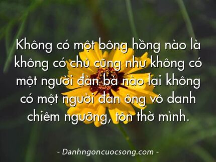 Không có một bông hồng nào là không có chủ cũng như không có một người đàn bà nào lại không có một người đàn ông vô danh chiêm ngưỡng, tôn thờ mình.