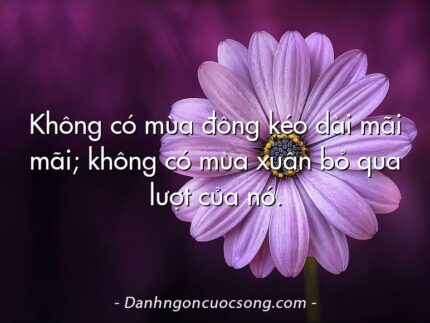 Không có mùa đông kéo dài mãi mãi; không có mùa xuân bỏ qua lượt của nó.