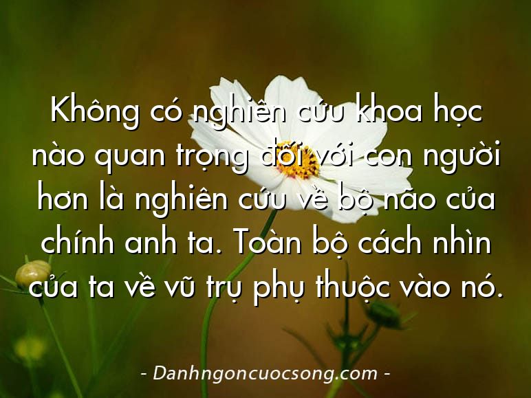 Không có nghiên cứu khoa học nào quan trọng đối với con người hơn là nghiên cứu về bộ não của chính anh ta. Toàn bộ cách nhìn của ta về vũ trụ phụ thuộc vào nó.  