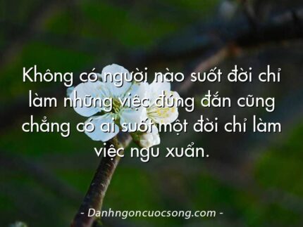 Không có người nào suốt đời chỉ làm những việc đúng đắn cũng chẳng có ai suốt một đời chỉ làm việc ngu xuẩn.