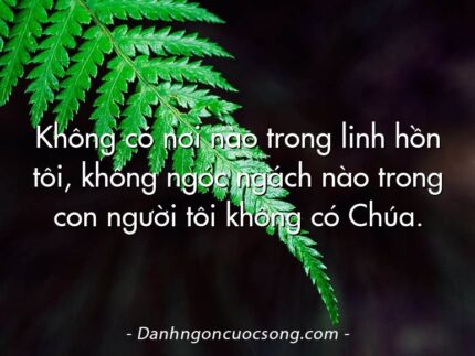 Không có nơi nào trong linh hồn tôi, không ngóc ngách nào trong con người tôi không có Chúa.