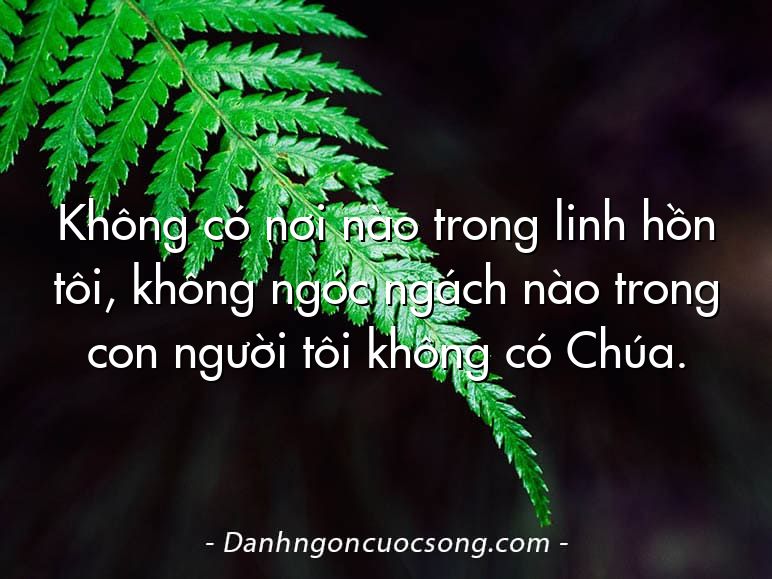 Không có nơi nào trong linh hồn tôi, không ngóc ngách nào trong con người tôi không có Chúa.
