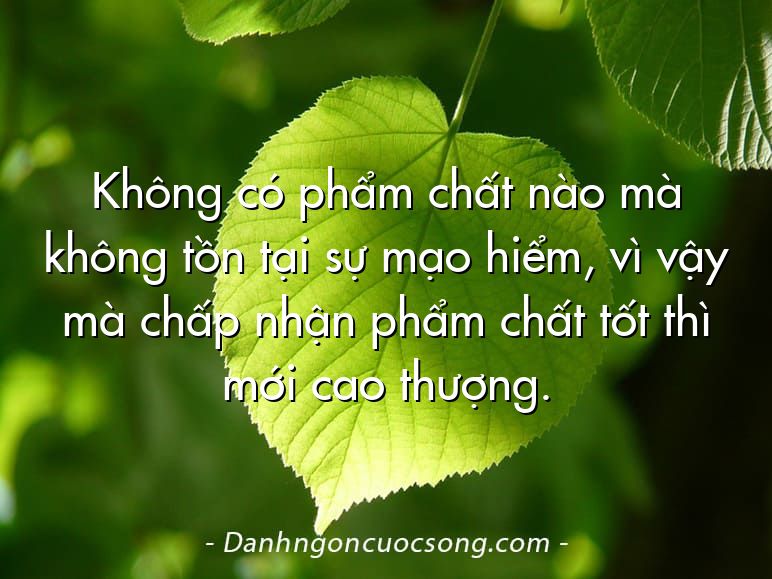 Không có phẩm chất nào mà không tồn tại sự mạo hiểm, vì vậy mà chấp nhận phẩm chất tốt thì mới cao thượng.