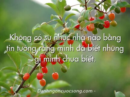 Không có sự nhục nhã nào bằng tin tưởng rằng mình đã biết những gì mình chưa biết.