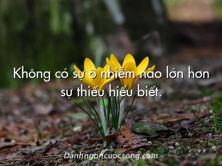 Không có sự ô nhiễm nào lớn hơn sự thiếu hiểu biết.