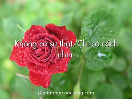 Không có sự thật. Chỉ có cách nhìn.