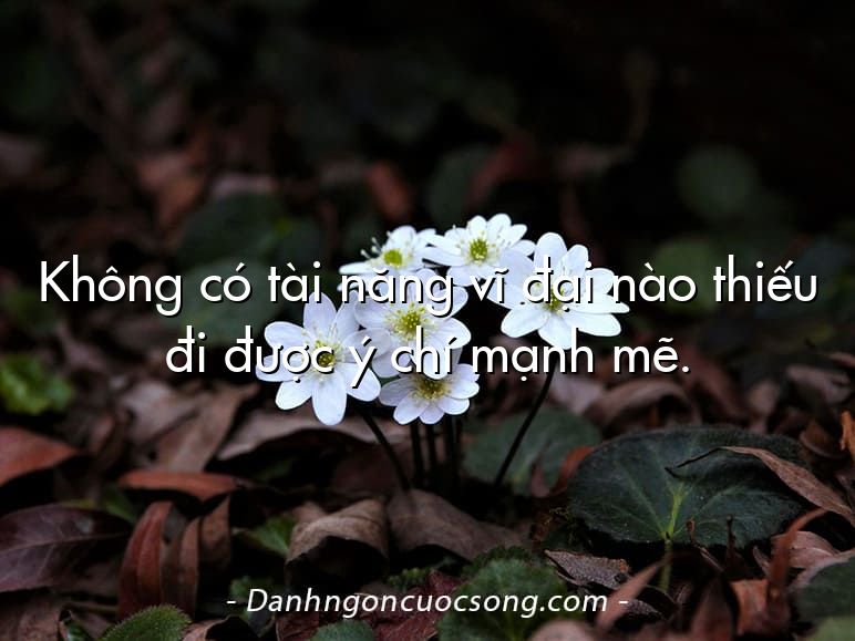 Không có tài năng vĩ đại nào thiếu đi được ý chí mạnh mẽ.