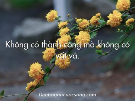Không có thành công mà không có vất vả.