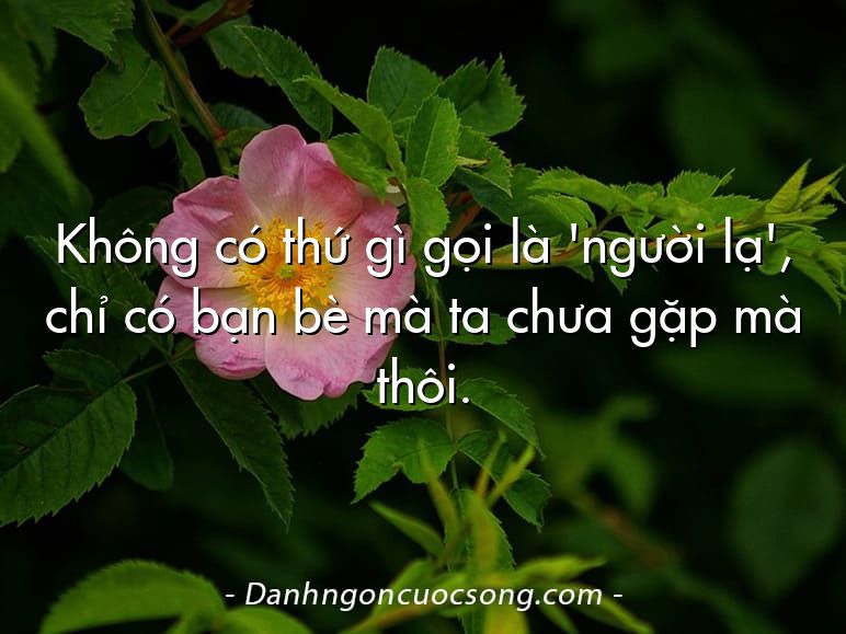 Không có thứ gì gọi là 'người lạ', chỉ có bạn bè mà ta chưa gặp mà thôi.